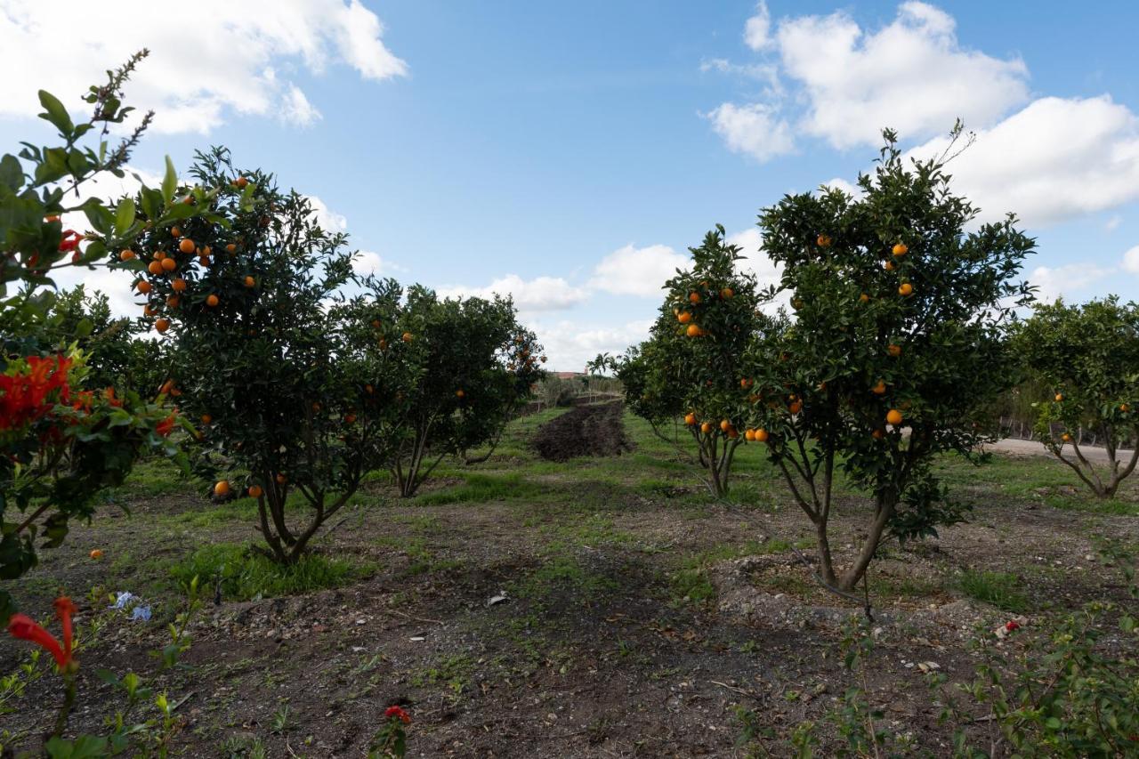 Dar Ghita En Campagne Villa Ben Slimane Exterior photo